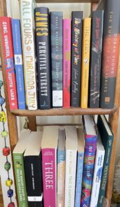 two shelves of books mostly fiction 